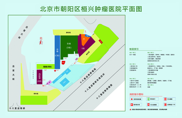 啊啊啊小骚逼要大鸡巴视频北京市朝阳区桓兴肿瘤医院平面图